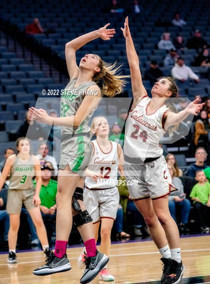 Thumbnail 1 in Calaveras vs. Dixon (CIF SJS D4 Final) photogallery.