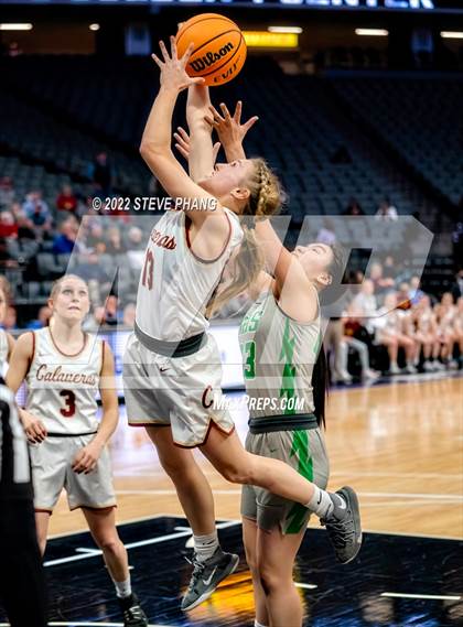 Thumbnail 1 in Calaveras vs. Dixon (CIF SJS D4 Final) photogallery.