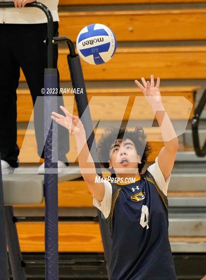 Thumbnail 3 in Whitney @ Inderkum photogallery.