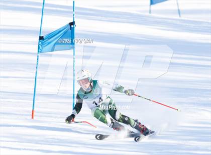 Thumbnail 3 in Brigham Ski League David Rockwell GS Championships photogallery.