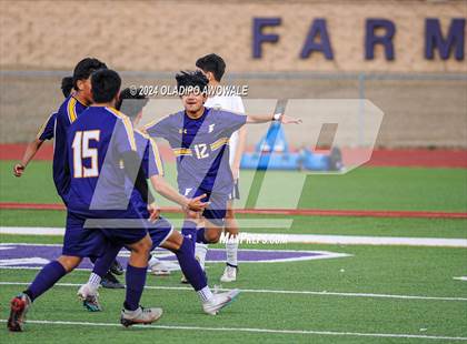 Thumbnail 1 in Anna @ Farmersville photogallery.
