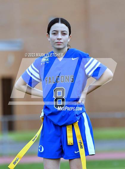 Thumbnail 2 in Oakcrest @ Mainland Regional photogallery.