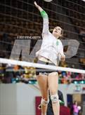 Photo from the gallery "Woodland Park vs. Niwot (CHSAA 4A 1st Round)"