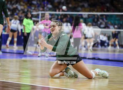 Thumbnail 1 in Woodland Park vs. Niwot (CHSAA 4A 1st Round) photogallery.