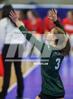 Photo from the gallery "Woodland Park vs. Niwot (CHSAA 4A 1st Round)"