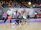 Photo from the gallery "Woodland Park vs. Niwot (CHSAA 4A 1st Round)"