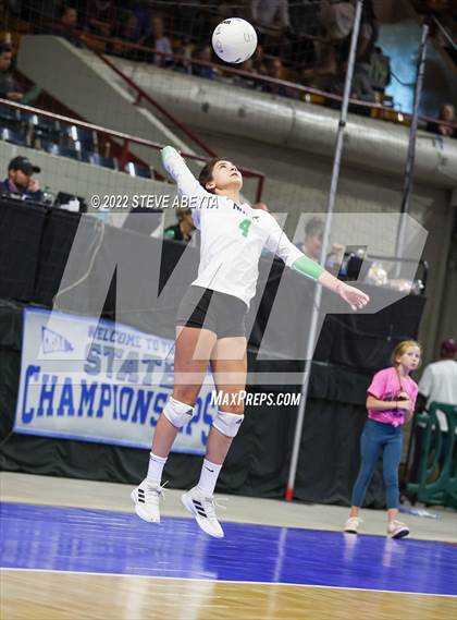 Thumbnail 3 in Woodland Park vs. Niwot (CHSAA 4A 1st Round) photogallery.