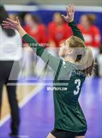 Photo from the gallery "Woodland Park vs. Niwot (CHSAA 4A 1st Round)"