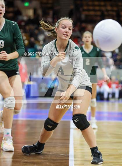 Thumbnail 3 in Woodland Park vs. Niwot (CHSAA 4A 1st Round) photogallery.