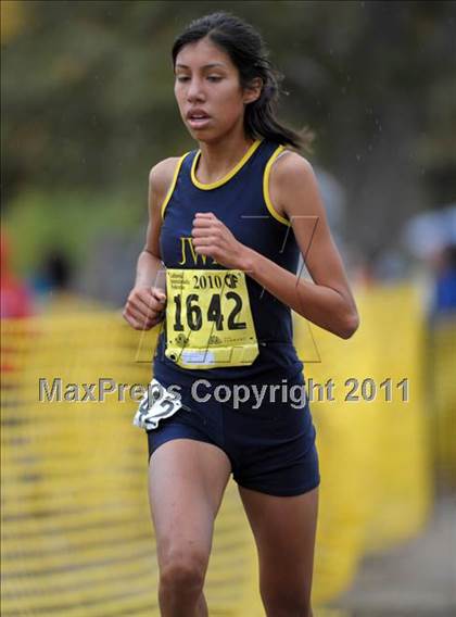 Thumbnail 1 in CIF State Cross Country Championships photogallery.