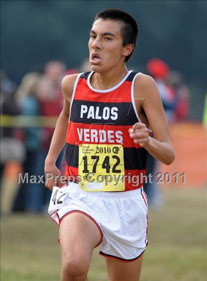 Thumbnail 2 in CIF State Cross Country Championships photogallery.