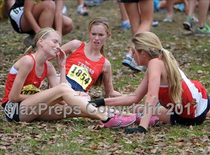 Thumbnail 3 in CIF State Cross Country Championships photogallery.