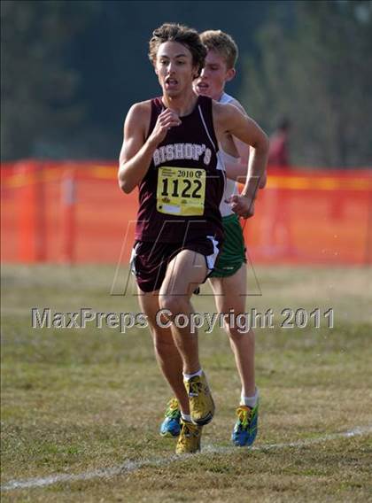 Thumbnail 2 in CIF State Cross Country Championships photogallery.