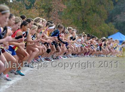 Thumbnail 3 in CIF State Cross Country Championships photogallery.