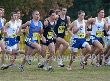 Thumbnail 1 in CIF State Cross Country Championships photogallery.