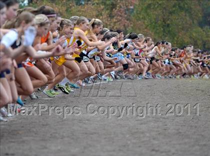 Thumbnail 1 in CIF State Cross Country Championships photogallery.