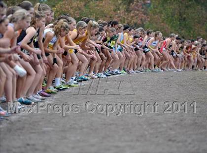 Thumbnail 3 in CIF State Cross Country Championships photogallery.