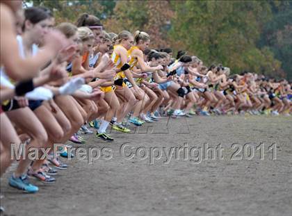 Thumbnail 2 in CIF State Cross Country Championships photogallery.