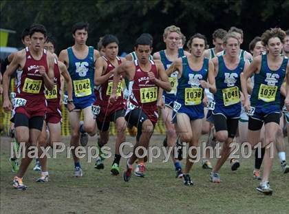 Thumbnail 2 in CIF State Cross Country Championships photogallery.
