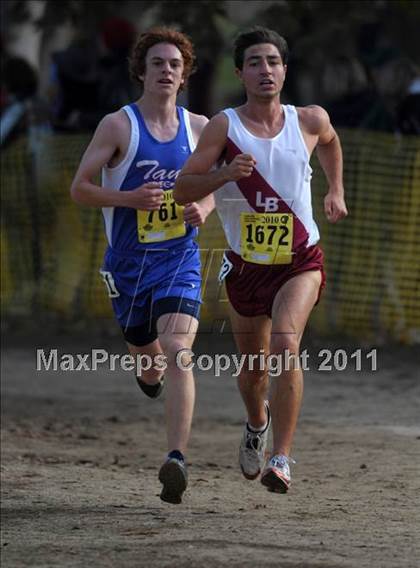 Thumbnail 2 in CIF State Cross Country Championships photogallery.