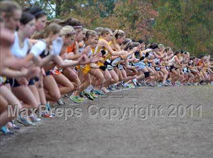 Thumbnail 2 in CIF State Cross Country Championships photogallery.