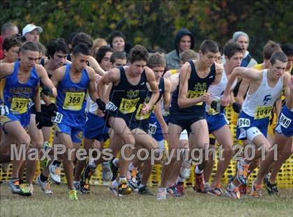 Thumbnail 2 in CIF State Cross Country Championships photogallery.