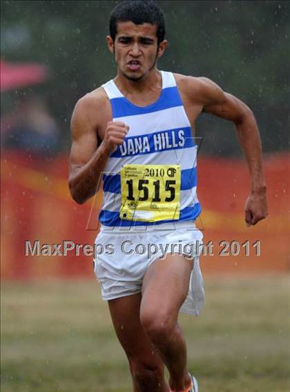 Thumbnail 2 in CIF State Cross Country Championships photogallery.
