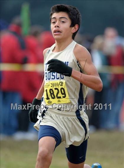 Thumbnail 3 in CIF State Cross Country Championships photogallery.