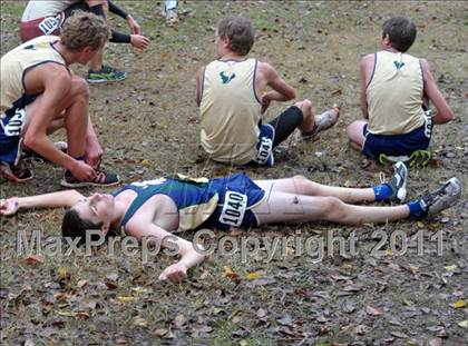 Thumbnail 2 in CIF State Cross Country Championships photogallery.