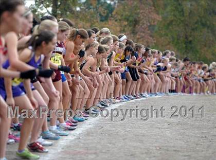 Thumbnail 2 in CIF State Cross Country Championships photogallery.