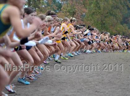 Thumbnail 3 in CIF State Cross Country Championships photogallery.