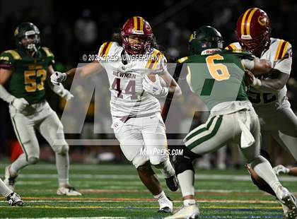 Thumbnail 2 in Cardinal Newman @ San Marin photogallery.