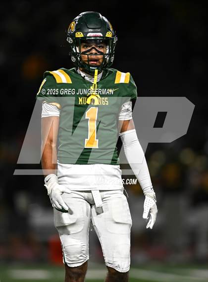 Thumbnail 3 in Cardinal Newman @ San Marin photogallery.