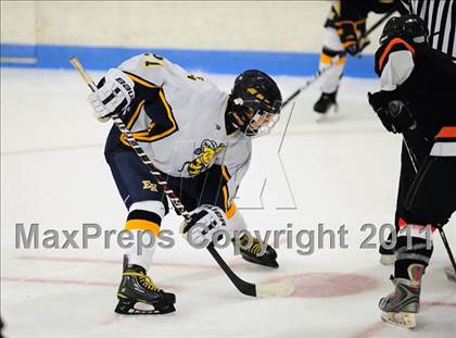 Thumbnail 3 in Stamford @ East Haven photogallery.