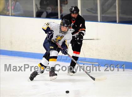 Thumbnail 1 in Stamford @ East Haven photogallery.