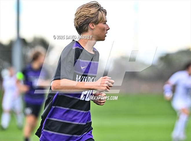 null - Photo 11