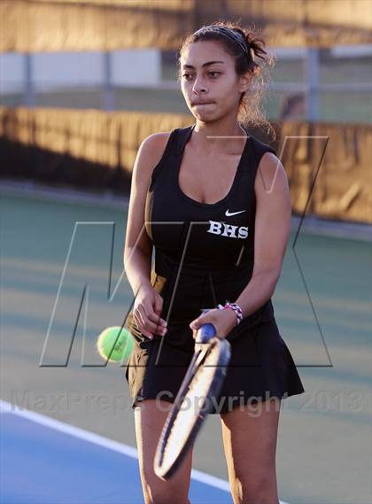 Thumbnail 1 in Chisholm Trail @ Birdville photogallery.
