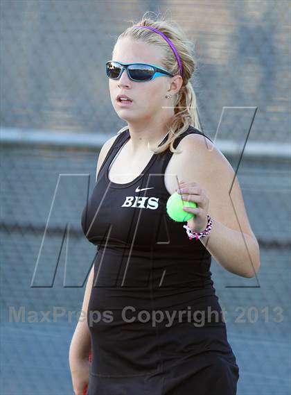 Thumbnail 1 in Chisholm Trail @ Birdville photogallery.