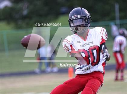 Thumbnail 1 in Hillsboro vs Pearl-Cohn (49th Metro Nashville Jamboree) photogallery.