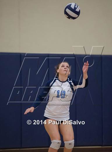 null - Photo 31