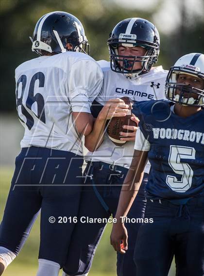 Thumbnail 3 in Champe @ Woodgrove photogallery.