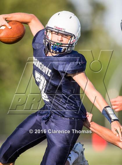 Thumbnail 2 in Champe @ Woodgrove photogallery.