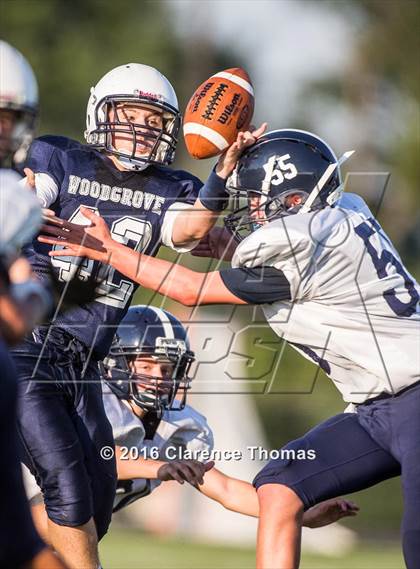 Thumbnail 3 in Champe @ Woodgrove photogallery.