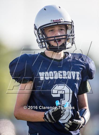 Thumbnail 2 in Champe @ Woodgrove photogallery.