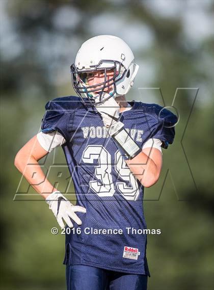 Thumbnail 3 in Champe @ Woodgrove photogallery.