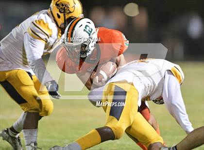 Thumbnail 2 in Boca Ciega @ Seminole photogallery.