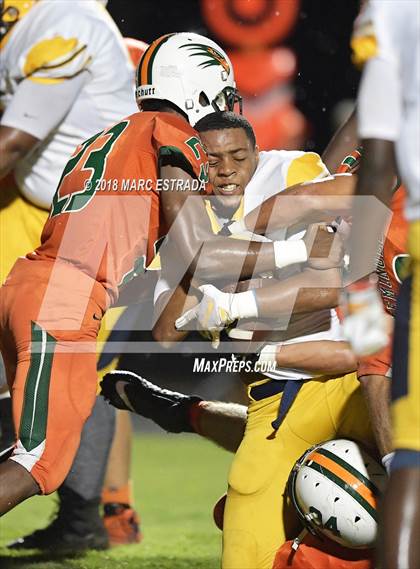 Thumbnail 1 in Boca Ciega @ Seminole photogallery.