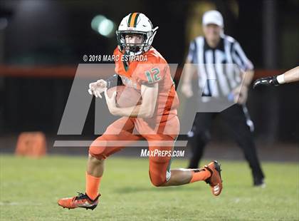 Thumbnail 3 in Boca Ciega @ Seminole photogallery.