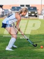 Photo from the gallery "Freeport @ York"