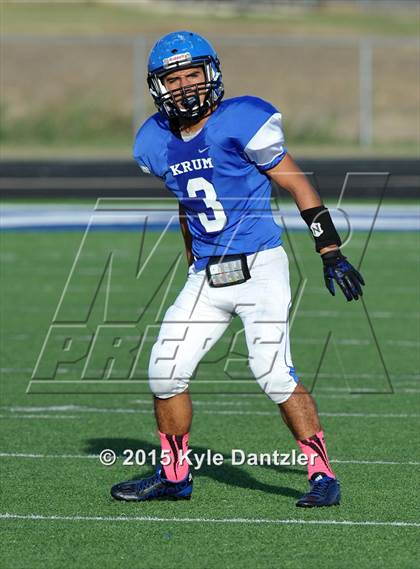 Thumbnail 3 in Bonham @ Krum photogallery.